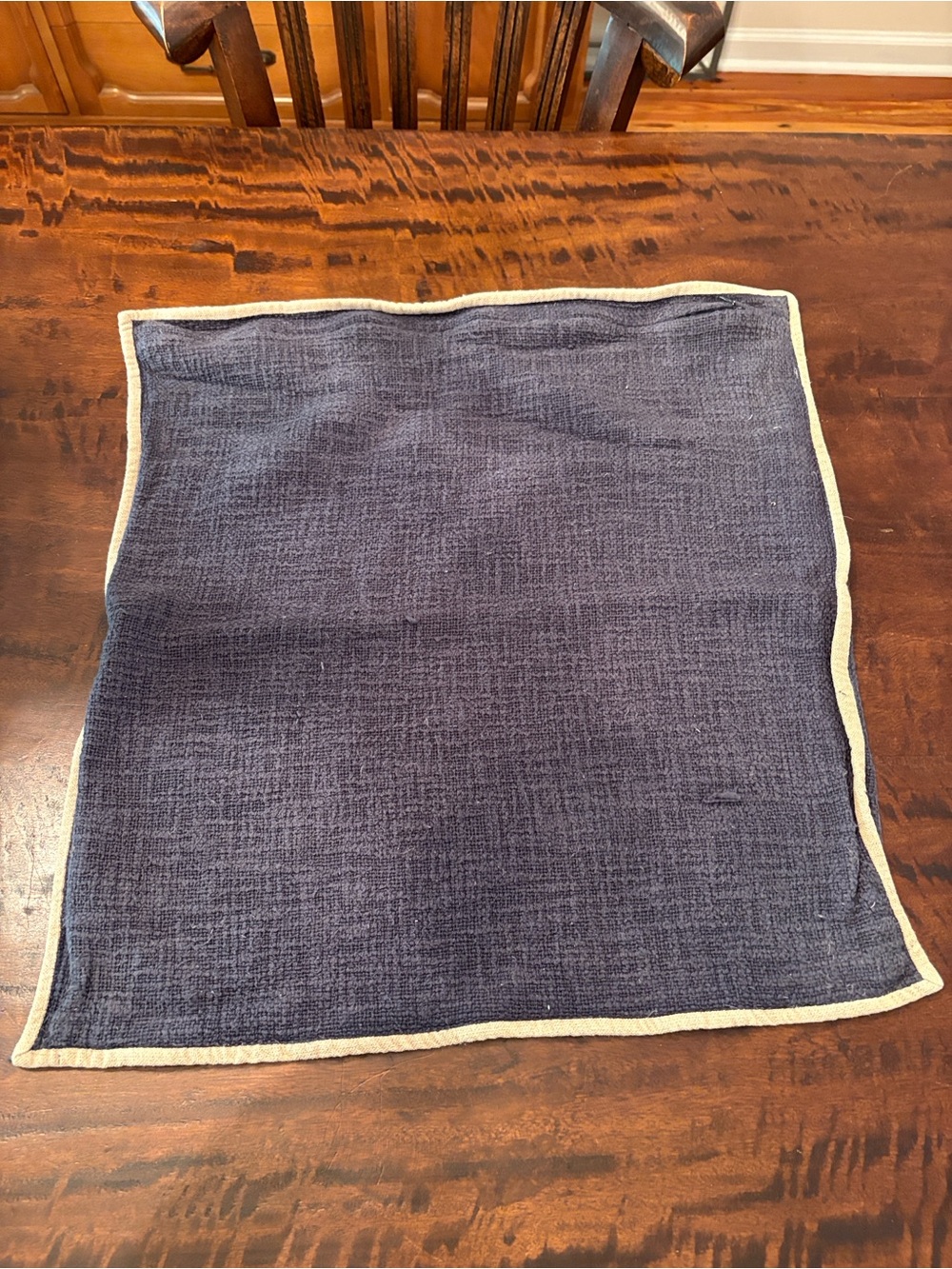 Pottery Barn Navy Accent Pillow Cover with Cream Border - Picture 2 of 7
